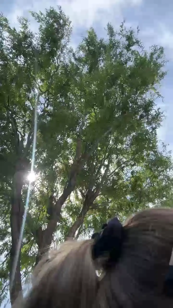 Rita_rhea – [Cam4] Fucks Herself Babe Webcam Goddes – 2025-02-18 22:30:15