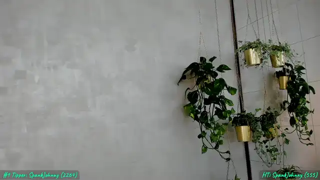 Foxylarysa – [Myfreecams] Hot Parts Playful Hidden Show – 2025-08-25 21:43:44