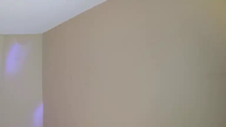 Bella_shine – [Streamate] Free Watch Cam Clip Lovense – 2025-06-13 14:47:42